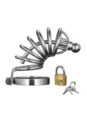 Asylum - 6 Ring Chasity Cage